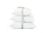 Scatter Cushion Inner 45CM X 45CM