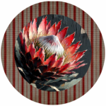FSC1036 Salad Bowl Cover