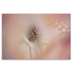 Blush Dreams 7 Art Print - A0 No Frame Print Only