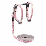 CAT Rogz Z 11MM Glow Reflective Lead And H-harness Waggs Pet Shop