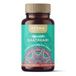 Shatavari - Female Reproductive Support 60 Capsules