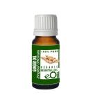 Ginger Oil Organic ESSENTIAL OILS Zingiber Officinalis 10 Ml