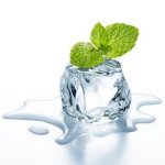 Wintergreen Concentrate - 50ML