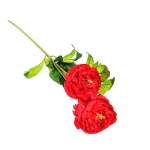 Peony Red 14CM
