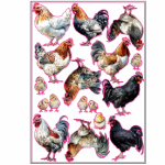 French Chickens Sticker Sheet A4