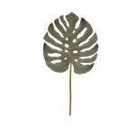 Monstera Leaf 5XX3X115CM Green