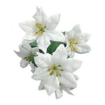 White 5 Flower Poinsettia Bush 33X12CM
