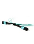 Acconet. Acconet Patch Lead 12CORE Mpo Female To Mpo Female 2M