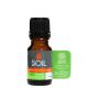 Organic Essential Oil Blends - Energy