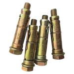 8X65MM Expansion Anchor PK2