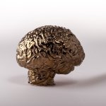 Creative Hub Brain Objet D'art - Bronze