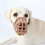 Anti Scavenge Muzzle - Size 7