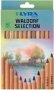 Super Ferby Waldorf Selection Coloured Pencils 12 Pack - Unlacquered