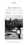 Between Perception And Action Paperback