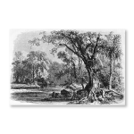 Antique Etching 7 Art Print - A4