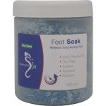 Stepping Out Foot Soak 500G