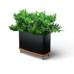 Marq Large Rectangular Planter