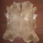 Bs Grade Nguni Hide 112 Brown white XXL - Extra Extra Large Brown white Panelled