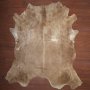 Bs Grade Nguni Hide 112 Brown/white XXL - Extra Extra Large / Brown/white / Panelled