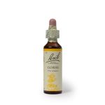 Gorse 20ML