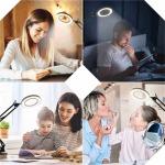 Adjustable Folding LED Desk Lamp Magnifier