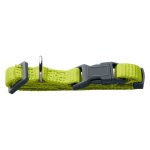 London Basic Collar - Large Lime