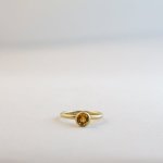 Round - Small - Citrine Medium