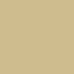 Sage Fern - Chalk Paint
