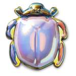 Dimensional Beetle Jibbitz - Multi Osfa