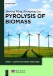 Pyrolysis Of Biomass Hardcover