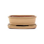 Assorted Glazed Bonsai Pots With Saucer 8" - Mustard Rectangular With Matching Saucer 21 X 16 X 7CM