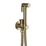 TBG043- Brushed Gold Bidet Sprayer