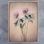 Peonies 1 Art Print - 100CM X 150CM Framed Canvas With Natural Wood Frame