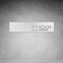 House Number D22 - 1500 X 375 / Matt Silver / No