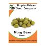 Beans Mung Green 20'S