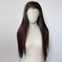 Light Honey Blonde Brown Synthetic Lace Front Wig - Pre Plucked Hairline 33.02x8.89cm Long Straight Dark Brown Glueless Heat Resistant Fiber Hair Wig For