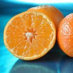 Clementina ‘nules’ 50LT