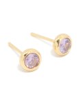 Waterproof Gold Plated Stainless Steel Cubic Zirconia February Birthstone Bezel Set Stud Earrings