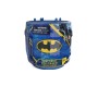 Batman 2" MINI Figure Asstd