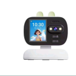 Ptz Wifi Camera With Auto Tracking