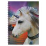 A4 Wiro Notebook Cover May Vary