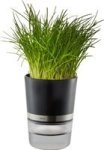 Gefu - Herb Pot Botanico