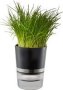 Gefu - Herb Pot Botanico