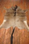 A Grade Wildebeest Hide
