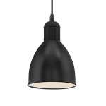 Priddy Steel Pendant Light Black