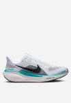 Nike Pegasus 41