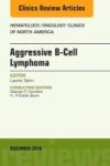 Aggressive B- Cell Lymphoma An Issue Of Hematology oncology Clinics Of North America Hardcover