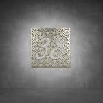 House Number D10 - 300 X 300 Matt Silver Cool White