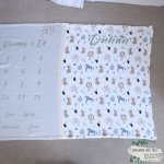 Milestone Blanket Dotty Drawing Safari
