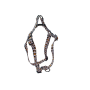 Dog Harness ~ Walk On The Wild Side - Medium